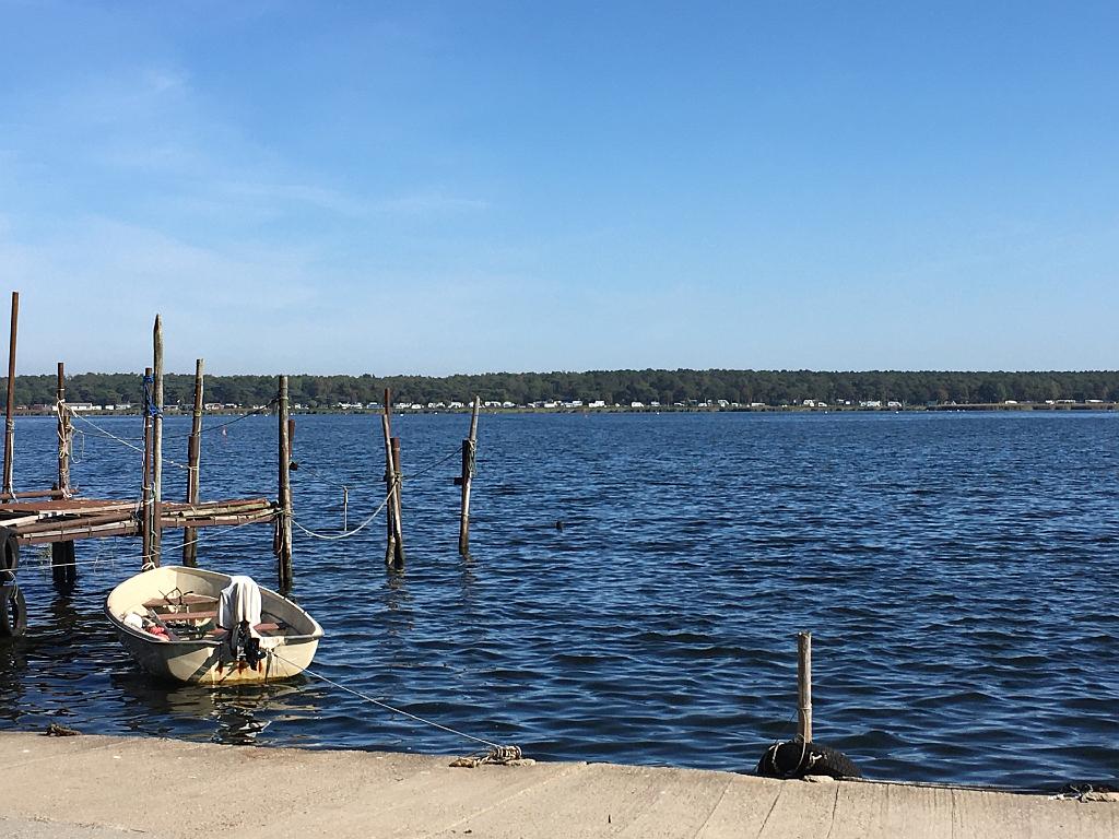 Ruegen (404)